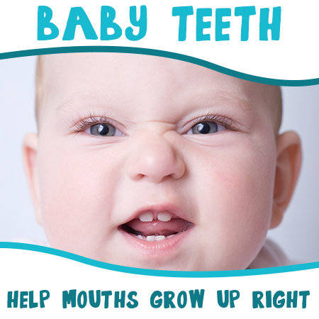 Waukee dentists, Drs. Michael & Blake Louscher at Lush Family Dental, discusses the importance of baby teeth in setting the stage for good oral health later in life.