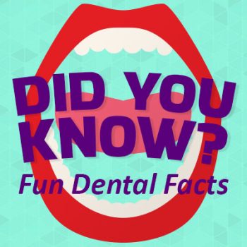 Waukee dentists, Drs. Louscher at Lush Family Dental, share some fun, random dental facts. Did you know…?
